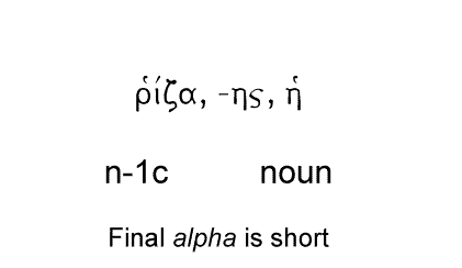 adelphe